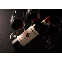 WINO NIPOZZANO CHIANTI RUFINA RISERVA / 13,5% / 0,75L